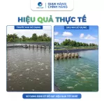 Men Vi Sinh PSB Đậm Đặc